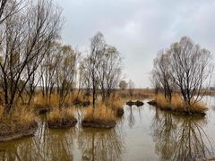 -野鸭湖国家湿地公园