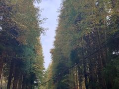 -山王坪喀斯特国家生态公园