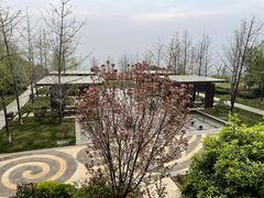 -大理实力希尔顿酒店•香全日制餐厅