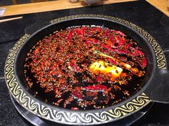 -一斗火锅·招财羊毛肚(泰吉滨江店)