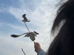 -星海广场
