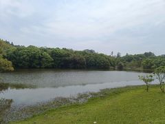 -福建鲤鱼洲酒店