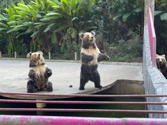-贵州森林野生动物园