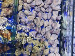 -青蓬蒸汽海鲜·深圳老字号·团建聚会(壹方城店)