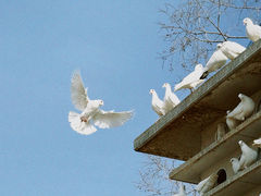 -泉城广场