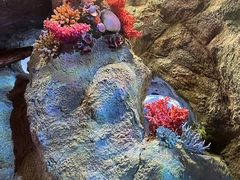 -上海儿童博物馆