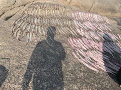 -日照灯塔风景区