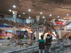 -国家自然博物馆