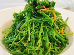 虫草花拌龙须菜-普天和酒楼(天津之眼店)