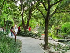 -成都市活水公园