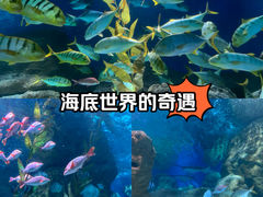 -大连圣亚海洋世界