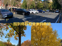 -中国农业大学(西校区)