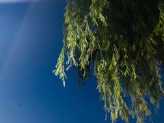 -邛海宾馆·玉鸥楼中餐厅