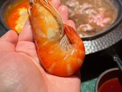 -牛New寿喜烧(金鹰世界店)