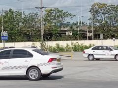 -光明驾校·学车·陪驾(杨浦店)