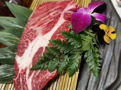-千寻山野烤肉(中关村店)