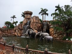 -美的鹭湖探索王国