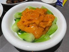 蟹黄扒鱼肚-燕春楼(海河华鼎店)