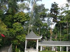 -小南山公园