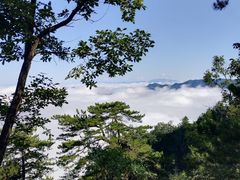 -塔云山