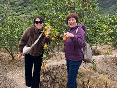 -玉龙寨旅游景区