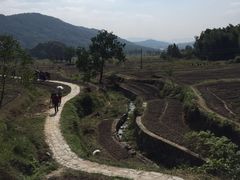 -塔川景区