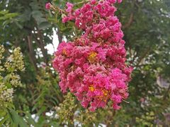 -九龙湾·御膳坊(九龙窠路店)