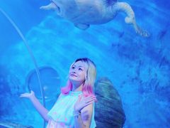 -多彩贵州城极地海洋世界
