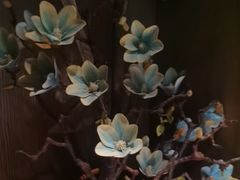 -百富源·海鲜辽菜(浑河堡店)