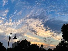 -许哥东北烧烤·铁丳烤串·宫后夹肉(繁花中心店)