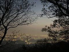 -紫金山山顶公园