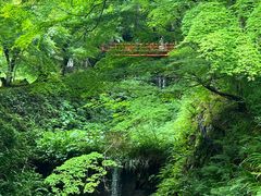 -三千院