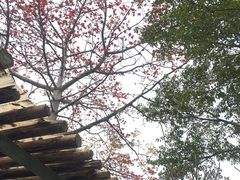 -喜洲吧·江畔老船厂·庭院餐厅(喜临院店)