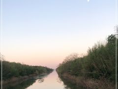 -黄海国家森林公园