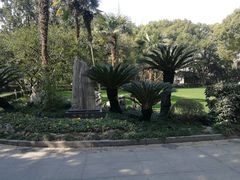 -复旦大学附属华山医院(总院)