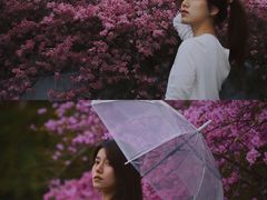-深圳仙湖植物园-停车场