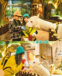 点击看大图 -宝燕乐园(闵行旗舰店)