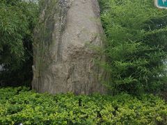 -北京市海淀区翠微小学