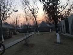 -九十九顶毡房(阜石路店)