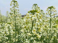 -中国天府农业博览园