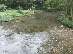 -桤木河湿地公园