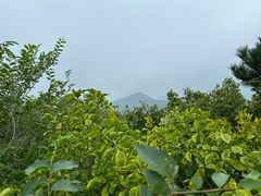 -香山公园