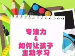 -金色雨林学习力培优(专注力提升)