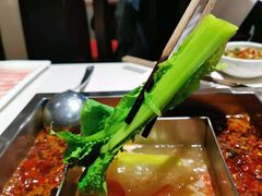 -红鼎坊·老成都火锅(新南门店)