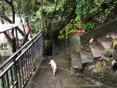 -茶泡饭(李子坝店)