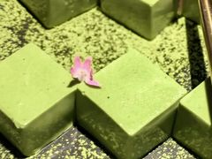 -锦府园·新台州菜(合生汇店)