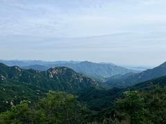 -大岭沟猕猴桃谷风景区