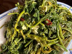 -老雒阳面馆·水席·洛阳菜(偃师店)
