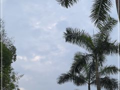 -广州市白云山风景名胜区