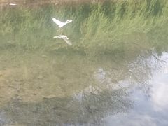 -南山风景名胜区